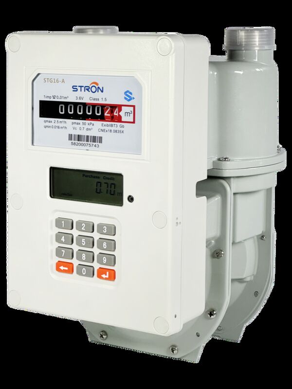 Measurement Range 0-9999 M³ LoraWan Smart Gas Meter Using LoRaWAN Communication Mode for Industrial Gas Usage Monitoring