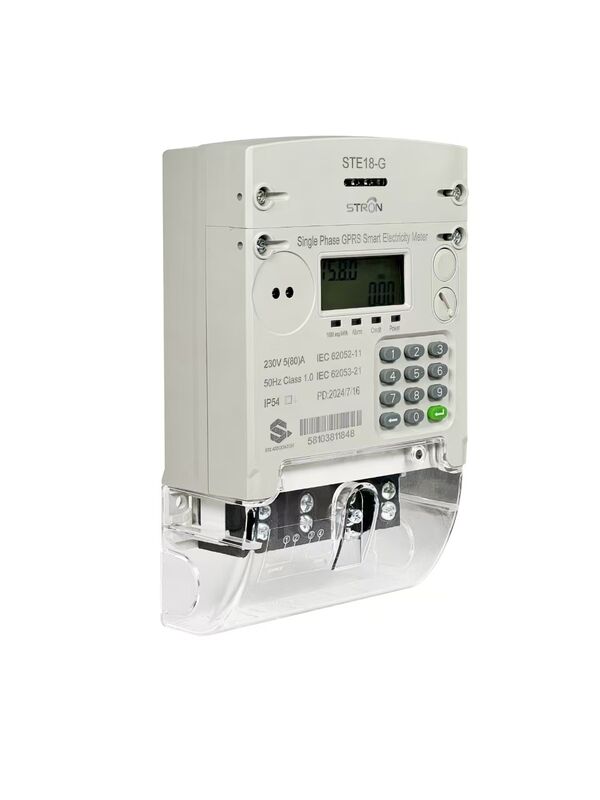 単相設計GPRS 4G接続性と電力管理システムのリモートモニタリングを備えたスマートプリペイド電気メーター