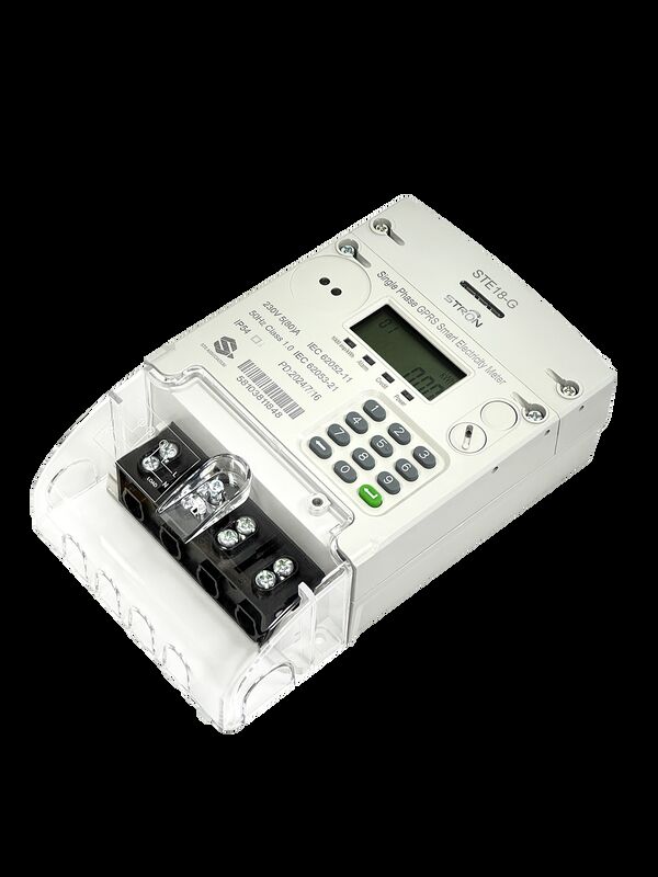 単相設計GPRS 4G接続性と電力管理システムのリモートモニタリングを備えたスマートプリペイド電気メーター